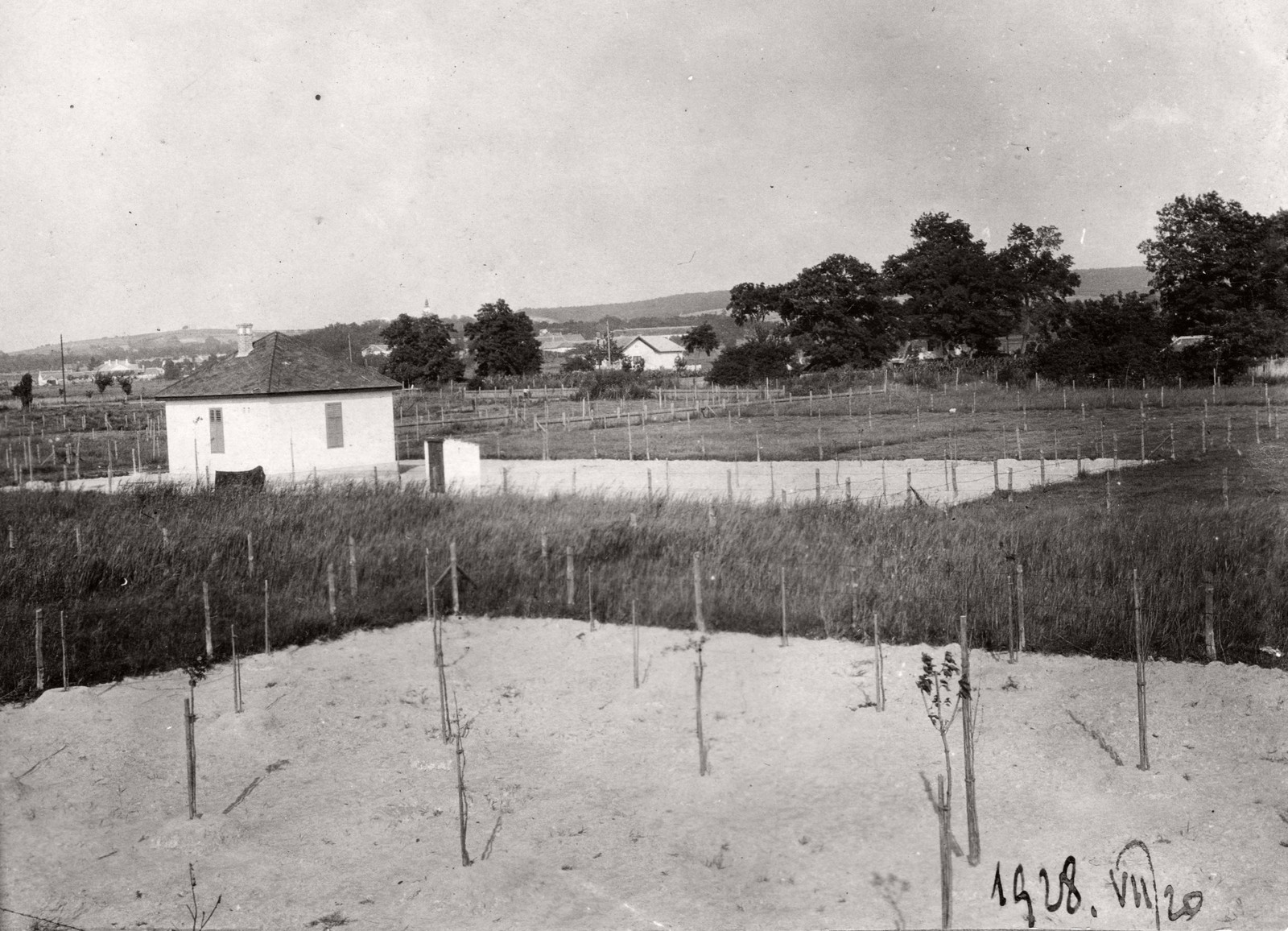 Hungary,Lake Balaton, Szántód, kilátás a Endrődi Sándor utca 11. számú villából., 1928, Fortepan, Fortepan #77040