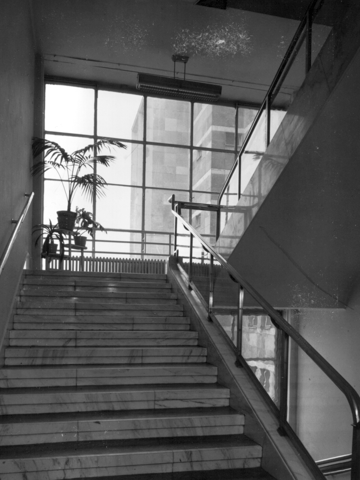Hungary, Budapest XII., Kútvölgyi úti Központi Állami Kórház (később Észak-Közép-budai Centrum, Új Szent János Kórház és Szakrendelő Kútvölgyi Tömb), lépcsőház., 1962, Juráncsik Norbert, medical institution, stairs, Budapest, Fortepan #77068