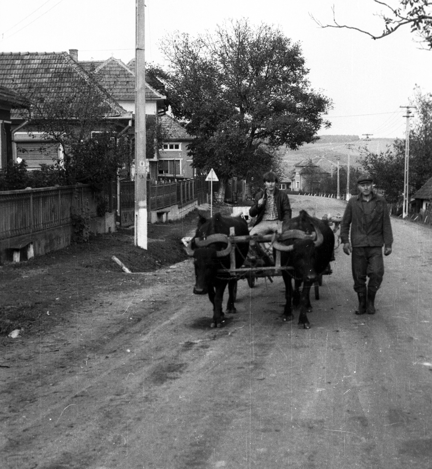 Romania,Transylvania, 1988, tm, coach, Fortepan #77242