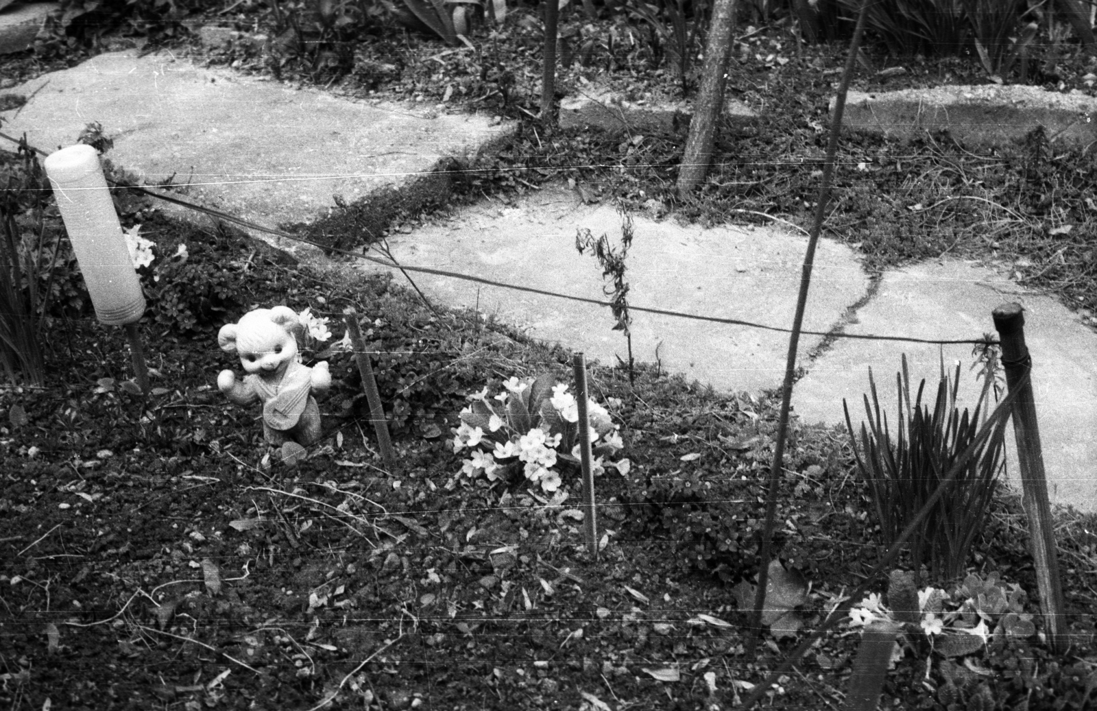 1988, tm, garden, flower, teddy bear, Fortepan #77296