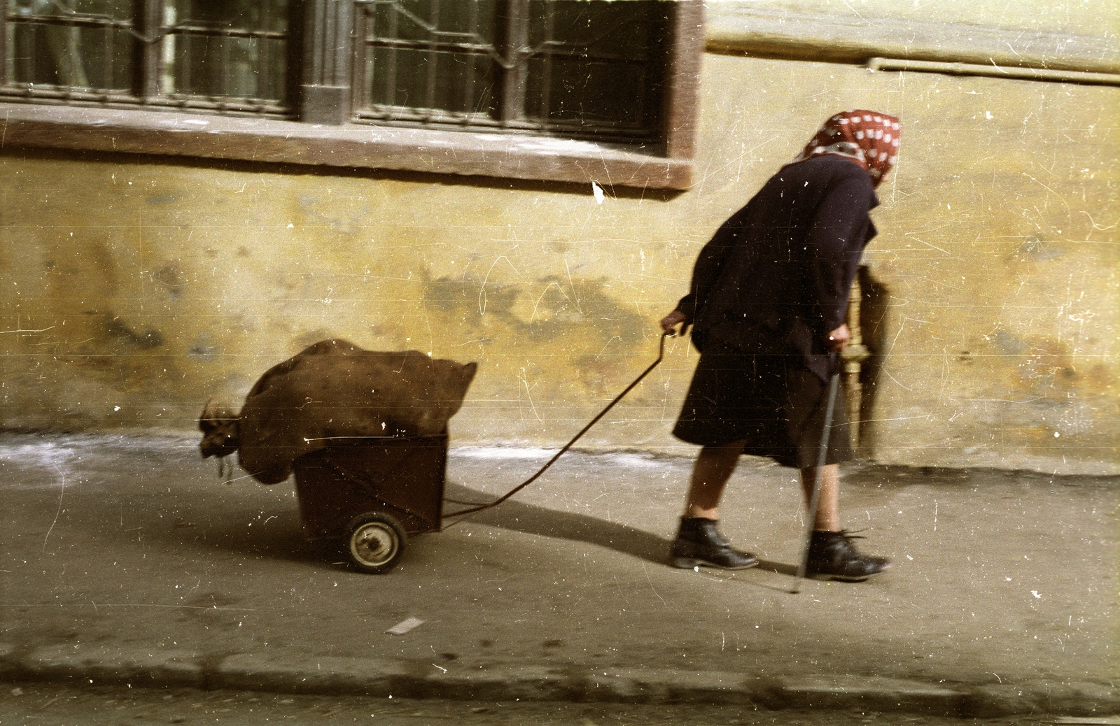 Romania,Transylvania, 1989, tm, colorful, old person, Fortepan #77322