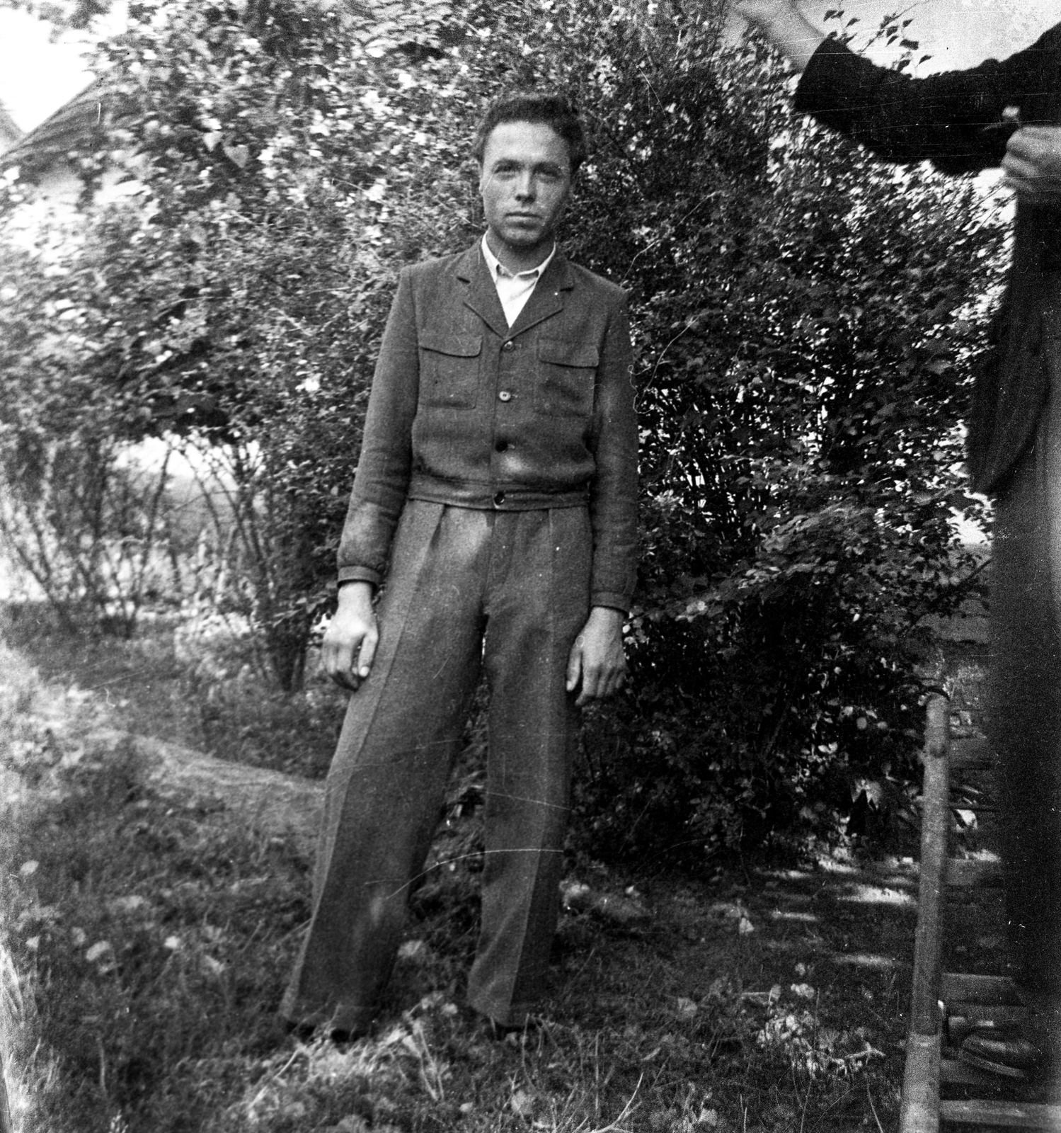 1949, Magyari László/Jánoshalmi Fotótár, man, ladder, bush, pants, Fortepan #77614