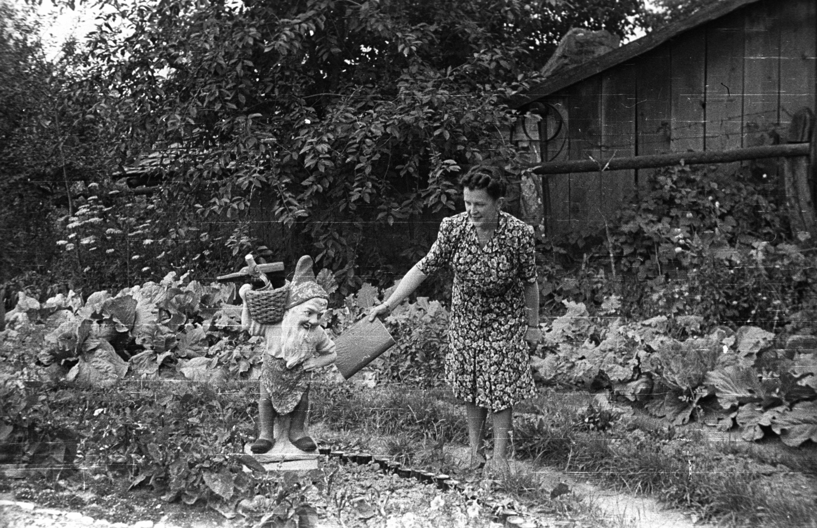 1937, Fortepan, portrait, garden, booth, summer, gnome, woman, vegetables, cabbage, Fortepan #77856