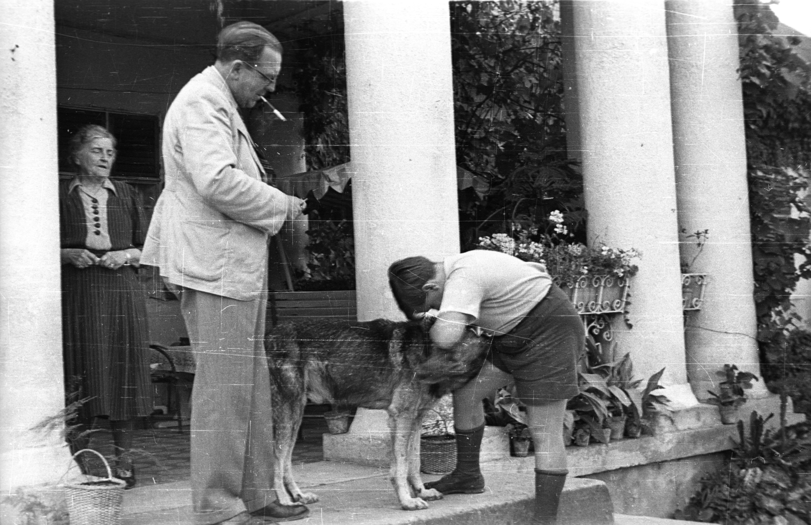 Hungary, Nyírmada, Petőfi út 1., a felvétel a Baly-kastély előtt készült., 1937, Fortepan, dog, smoking, genre painting, flower, summer, man, boy, woman, porch, planter, wickerwork, German shepherd, Fortepan #77870