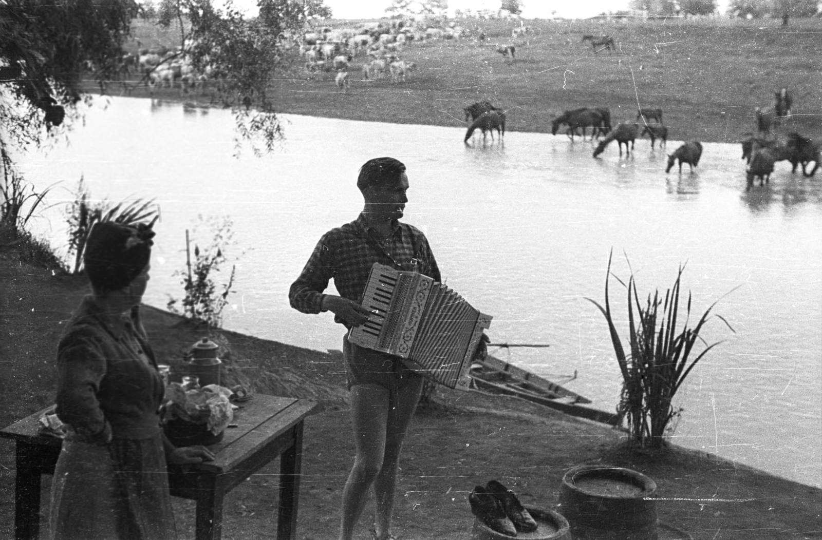 1937, Fortepan, cigarette, smoking, shoe, musical instrument, horse, genre painting, cattle, barrel, boat, accordion, man, can, table, paddling, shore, lady, cattle herd, herd, drinking, sedge, Hohner-brand, Fortepan #77880