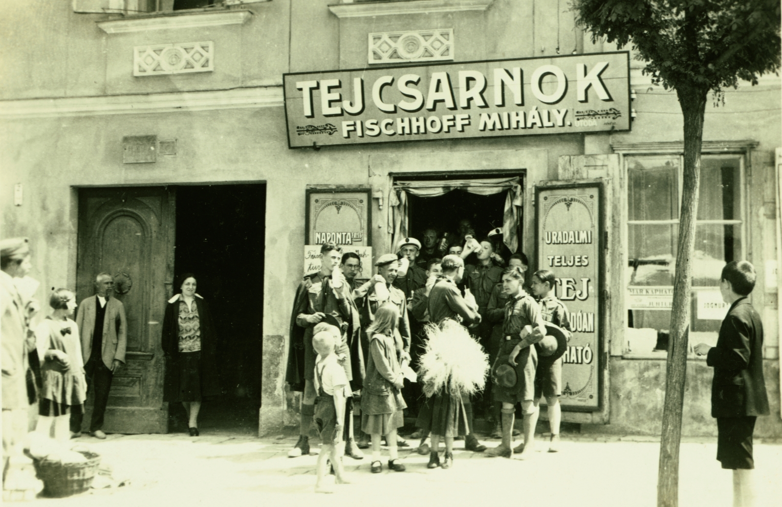 Hungary, Esztergom, Rákóczi tér 9., 1933, Kiss Katalin, store display, scouting, dairy, Fortepan #77935
