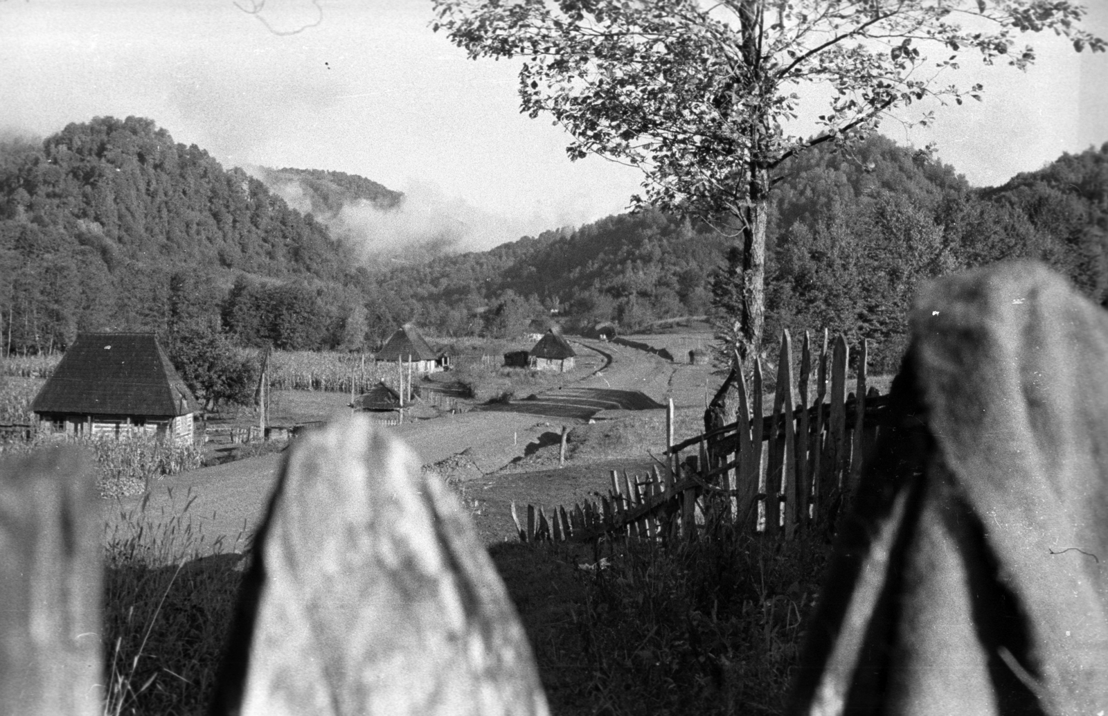 Ukraine,Zakarpattia Oblast, 1939, Berkó Pál, farmhouse, Fortepan #78260