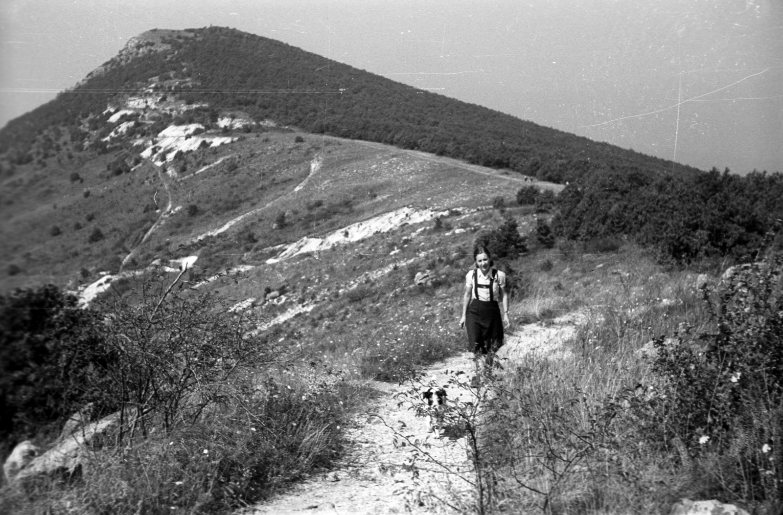 Hungary, Pilis Mountains, Nagy-Kevély., 1948, Berkó Pál, excursion, dog, lady, Fortepan #78425