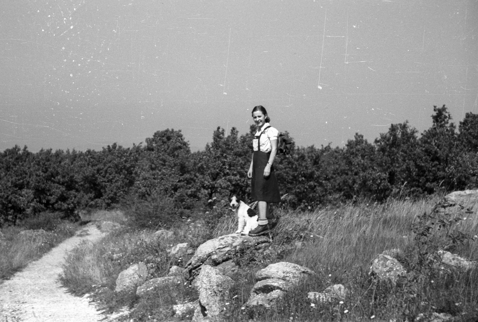 Hungary, Pilis Mountains, útban a Nagy-Kevélyre., 1948, Berkó Pál, excursion, dog, lady, fox terrier, Fortepan #78426