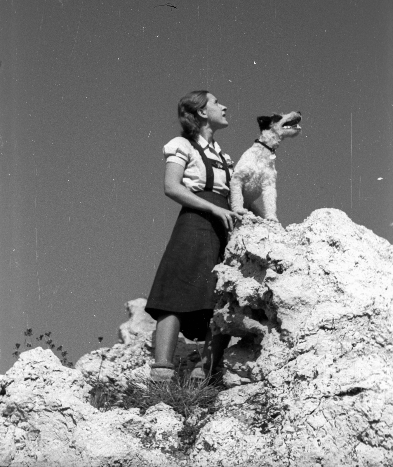 Hungary, Pilis Mountains, Nagy-Kevély., 1948, Berkó Pál, dog, lady, rock, fox terrier, Fortepan #78428