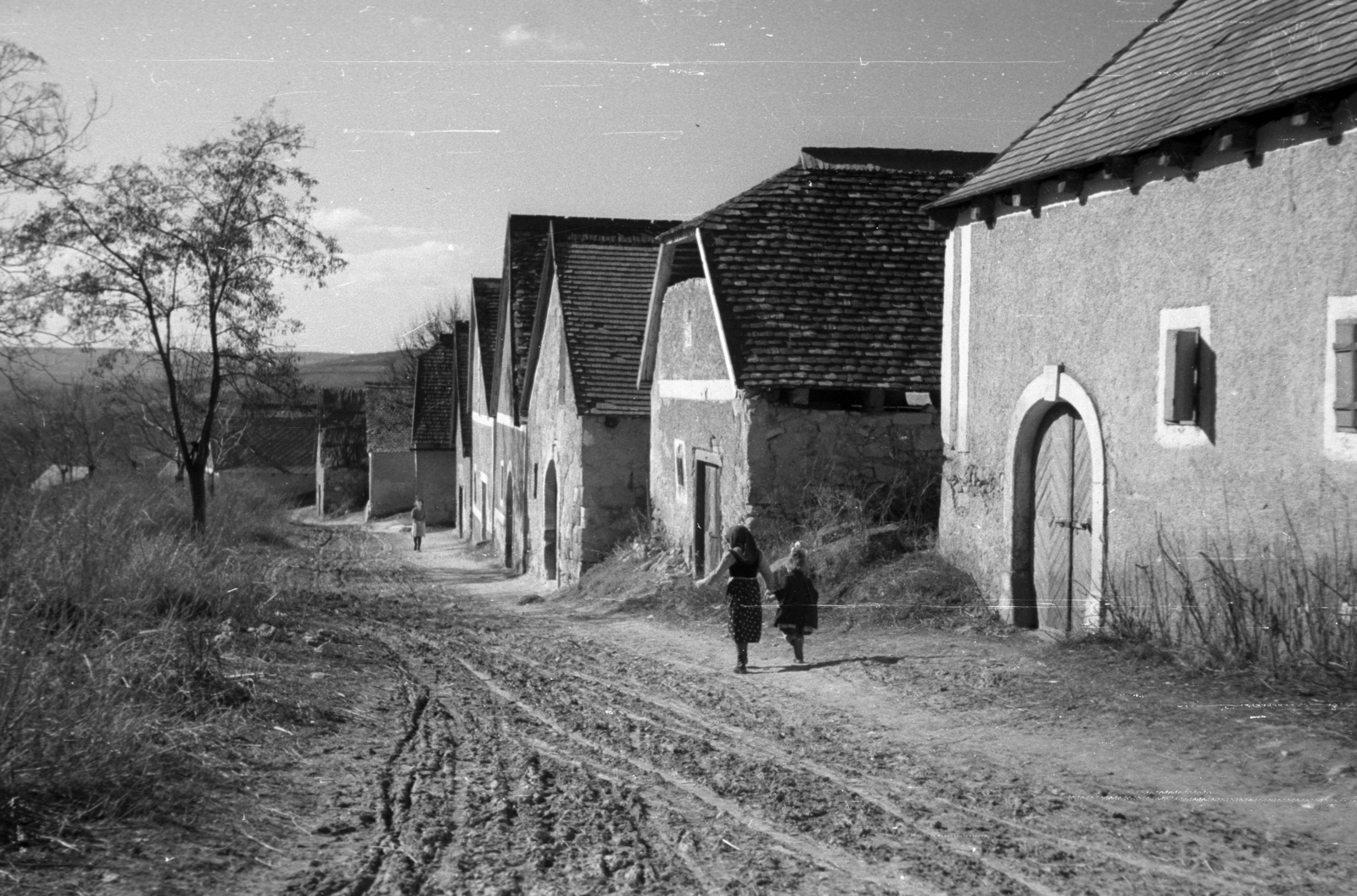 1940, Berkó Pál, cellars, Fortepan #78450