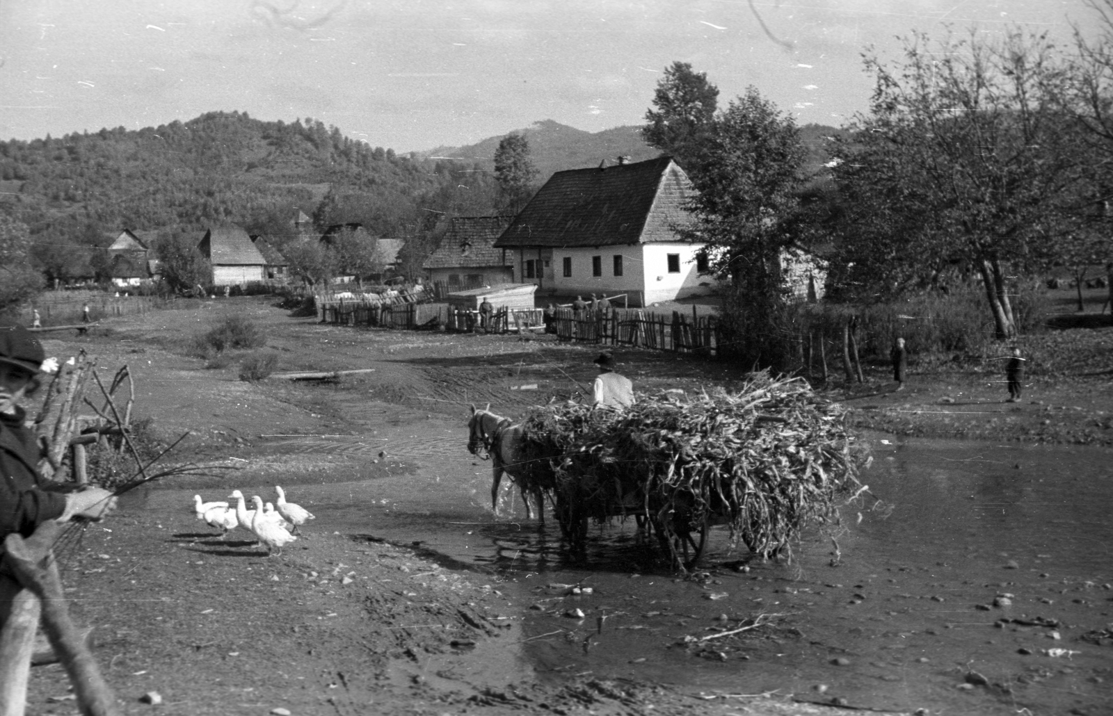 1939, Berkó Pál, chariot, fence, corn, goose, farmhouse, Fortepan #78491