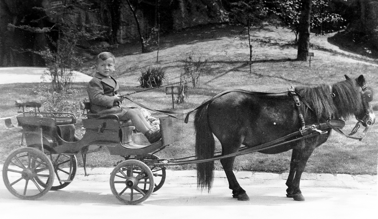 Magyarország, Városliget,Állatkert, Budapest XIV., pónifogat., 1935, Fortepan, portré, hintó, park, horgászat, gyerek, állatkert, póniló, Budapest, Fortepan #7859