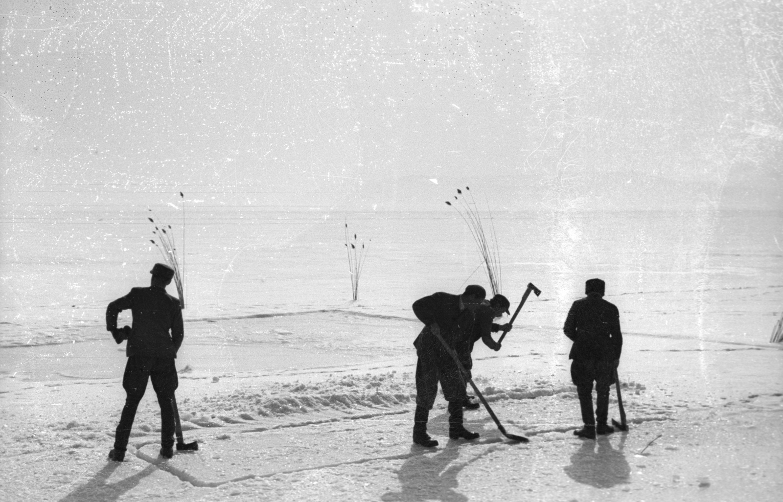 Hungary, Balatonfüred, jégvágás a befagyott Balatonon., 1966, Berkó Pál, ice cutting, lake, Fortepan #78648