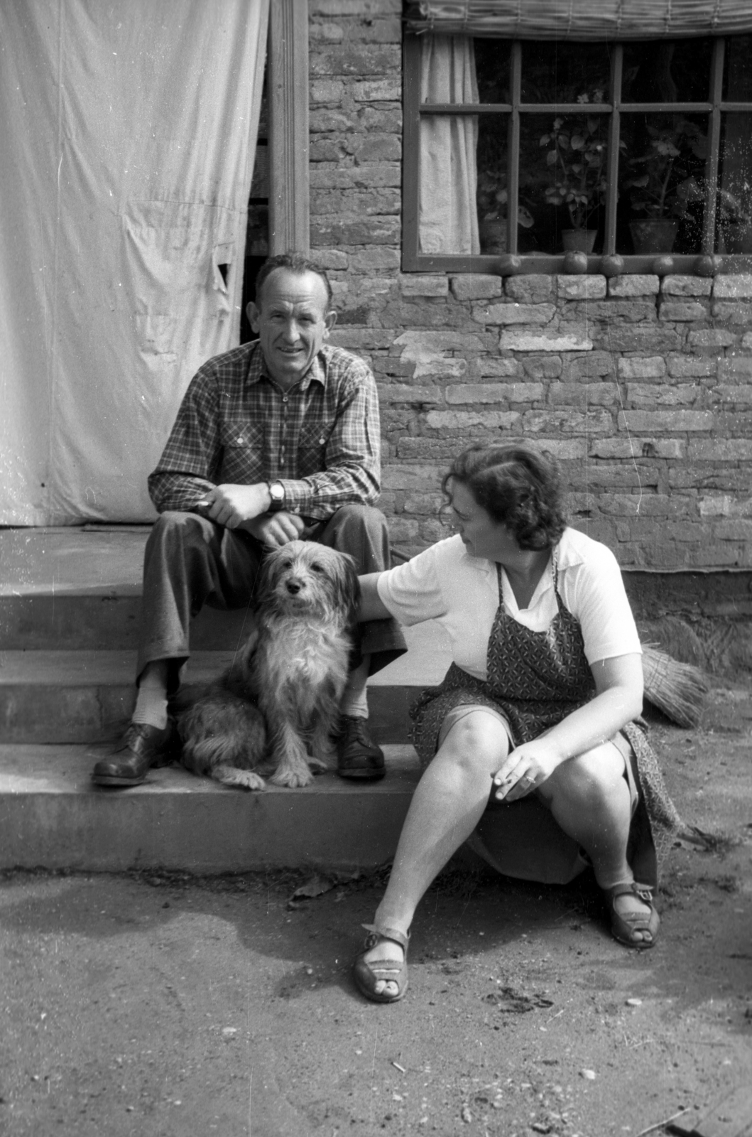 Hungary, Bősárkány, 1960, Berkó Pál, dog, sitting on stairs, plaid shirt, apron, man and woman, Fortepan #78726