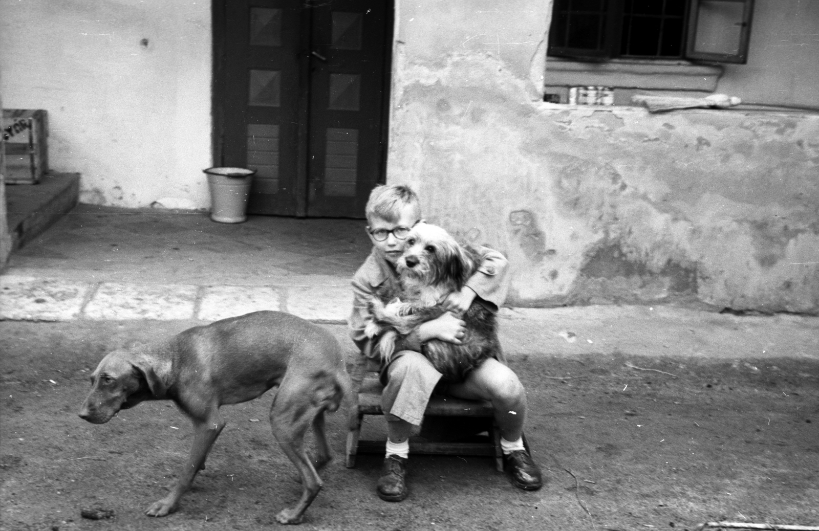 Hungary, Bősárkány, a felvétel a Fakilincs nevű kocsma udvarán készült., 1960, Berkó Pál, boy, glasses, pub, dog, Fortepan #78728