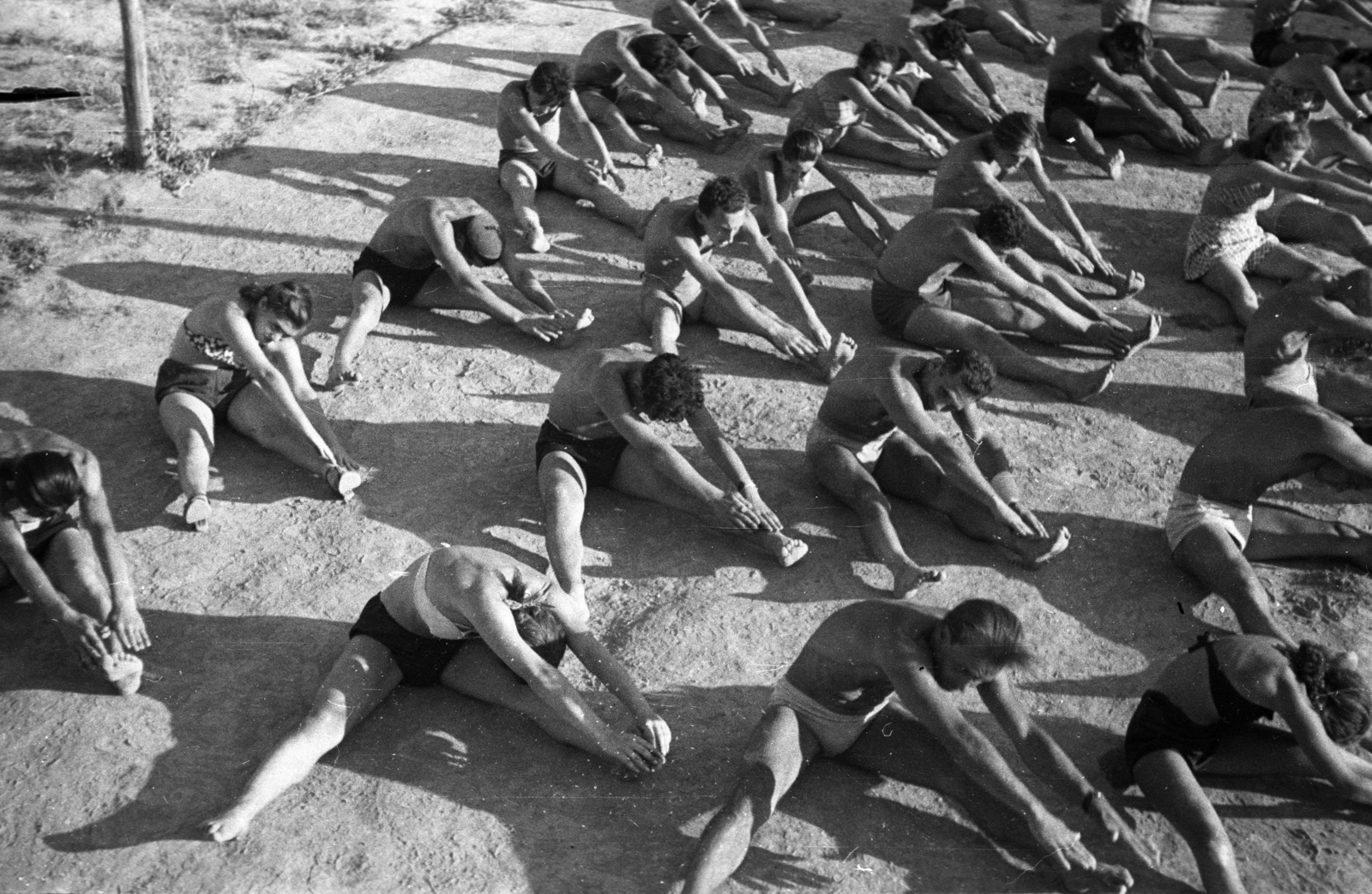 1947, Berkó Pál, exercise, shadow, bird's eye view, half-naked, Fortepan #78796