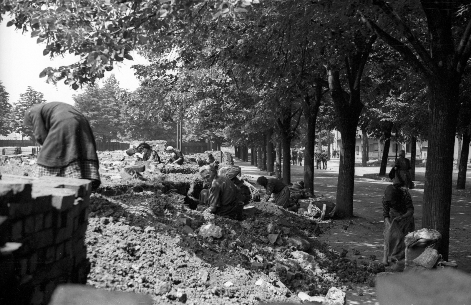 Magyarország, Aquincum, Budapest III., Gázos utca, jobbra a fák mögött a Gázgyári lakótelep I-es csoport., 1946, Berkó Pál, Budapest, nők, föld, keresés, zsák, Fortepan #78891