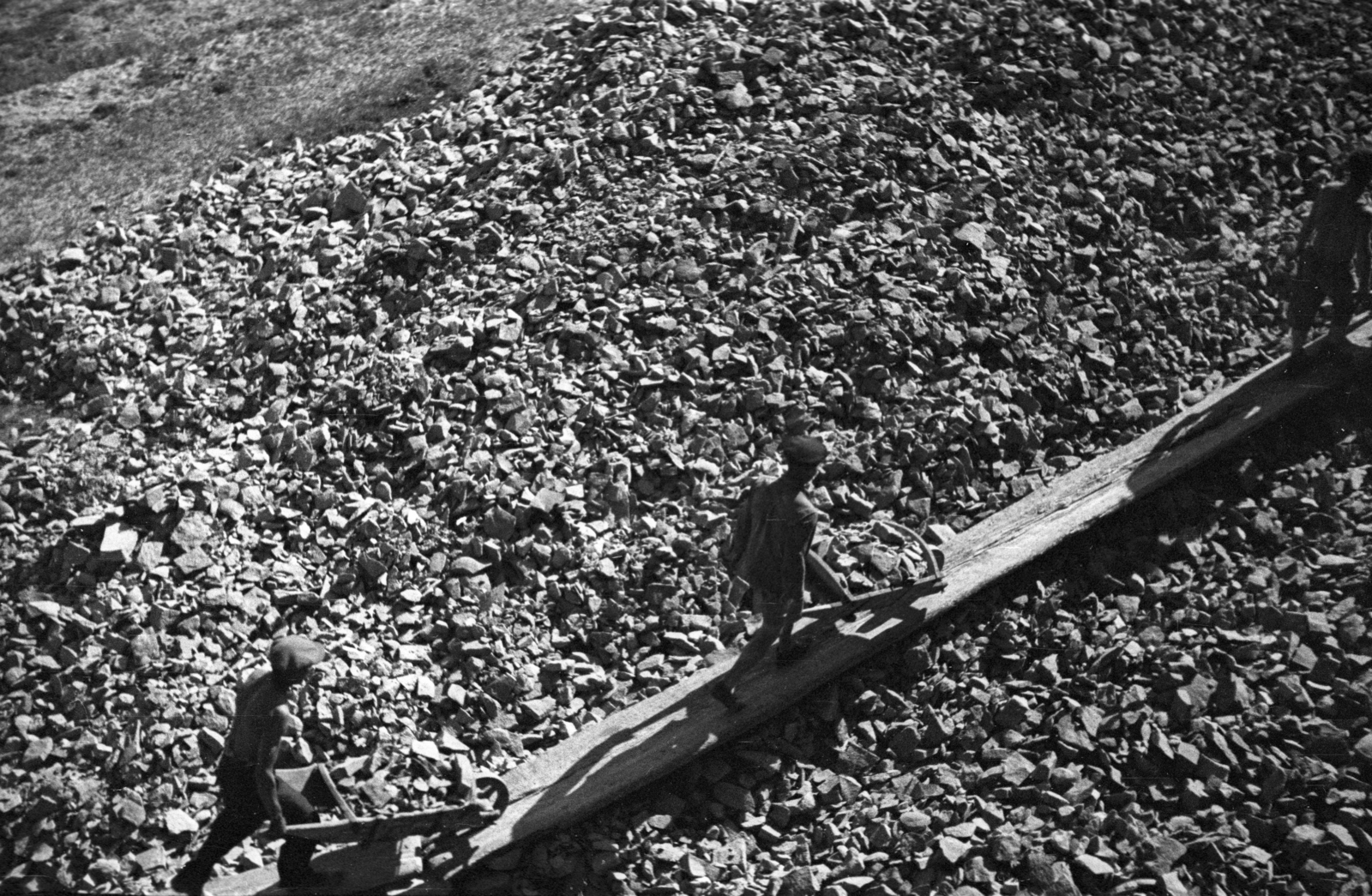 Hungary, Budapest XX.,Budapest XXI., partépítés a Csepel-szigeten a Ráckevei (Soroksári)-Dunánál a Gubacsi hídról nézve., 1948, Berkó Pál, Budapest, plank, wheelbarrow, construction worker, Fortepan #78916