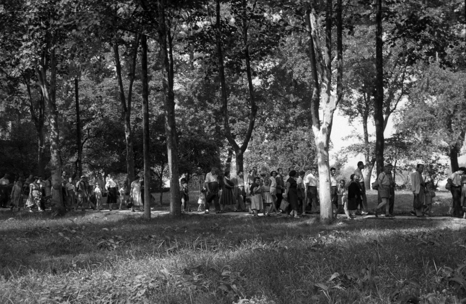 1948, Berkó Pál, woods, excursion, Fortepan #78999