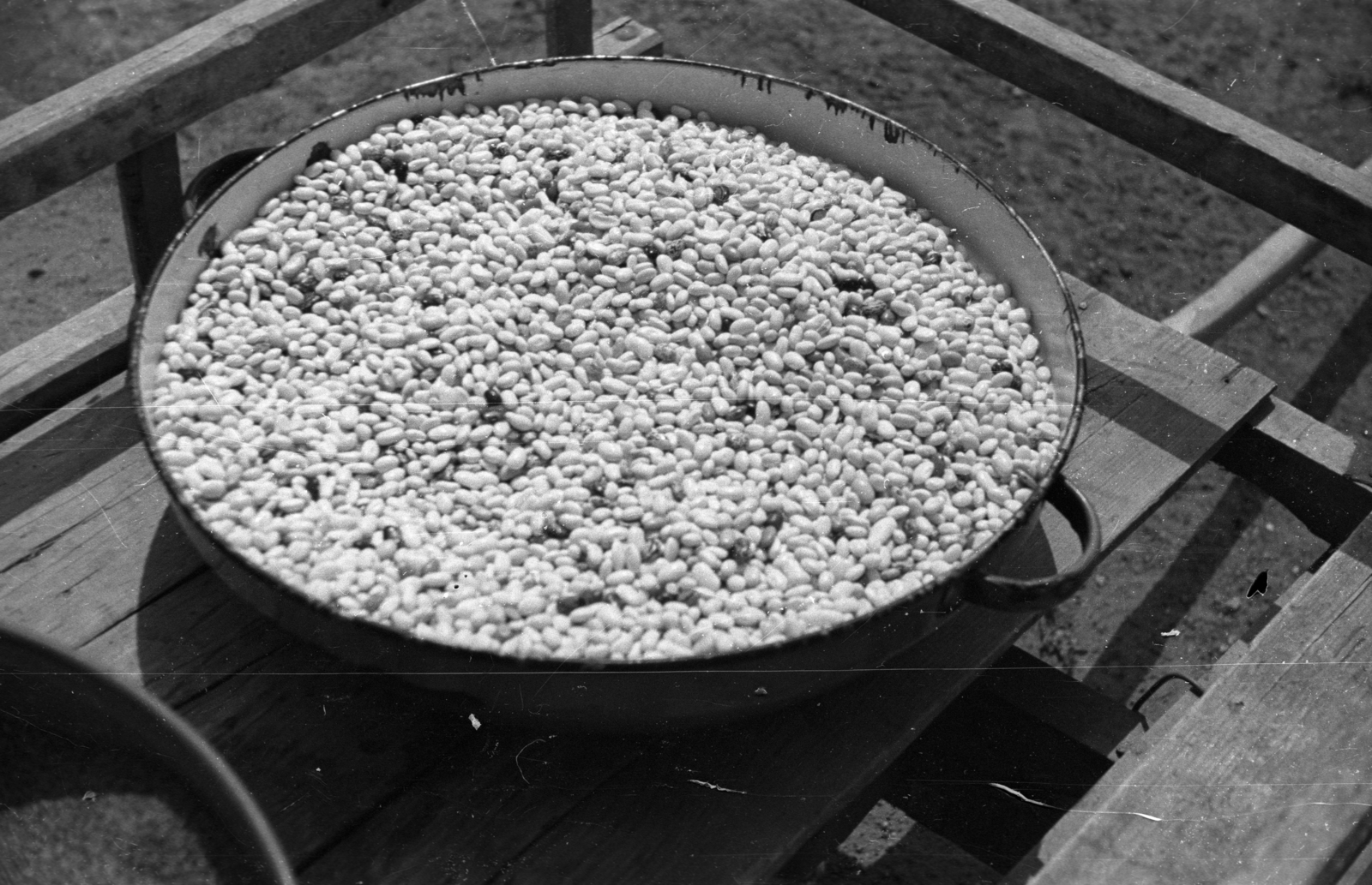 1947, Berkó Pál, bean, Fortepan #79037