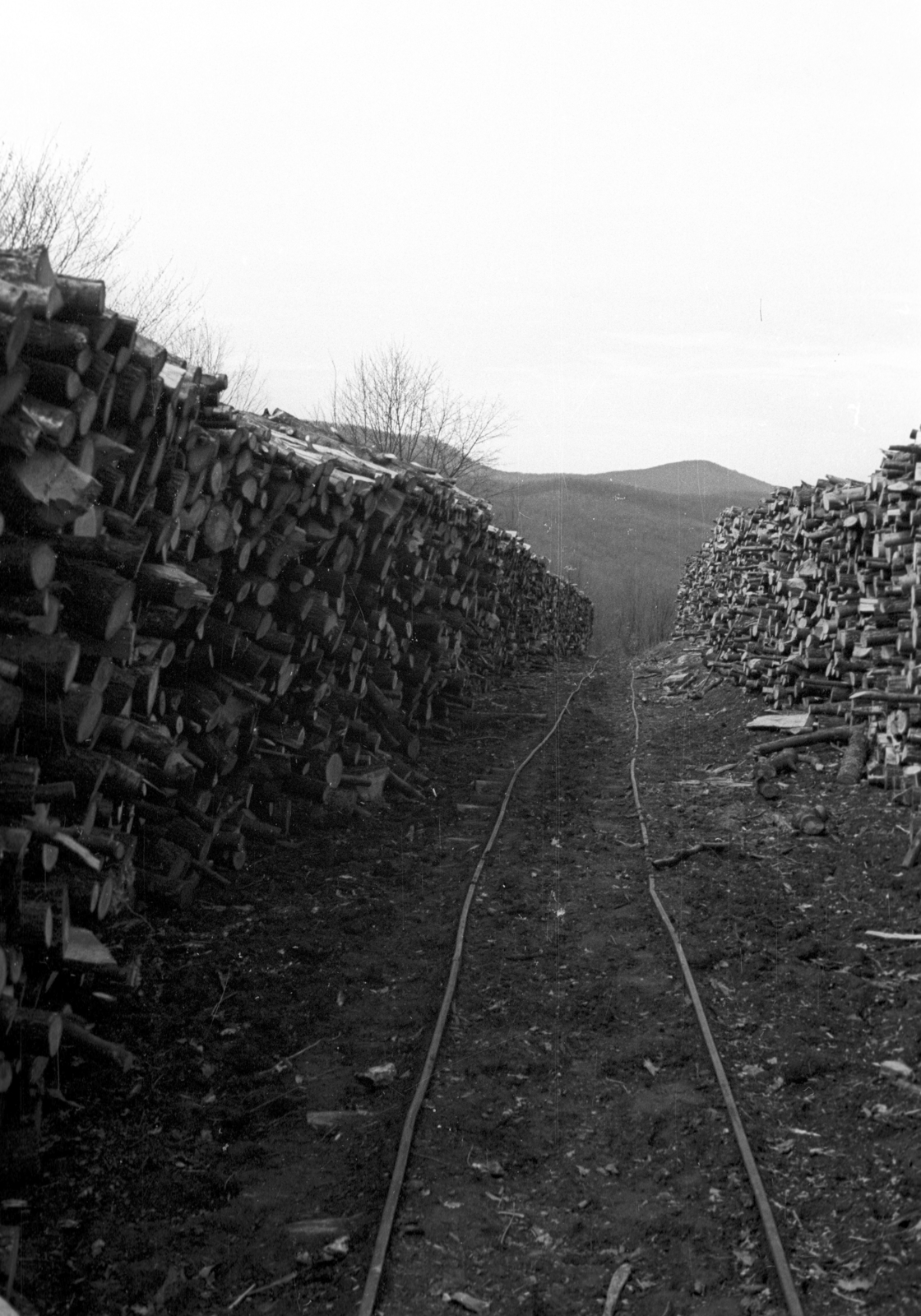 1960, Berkó Pál, Fortepan #79091