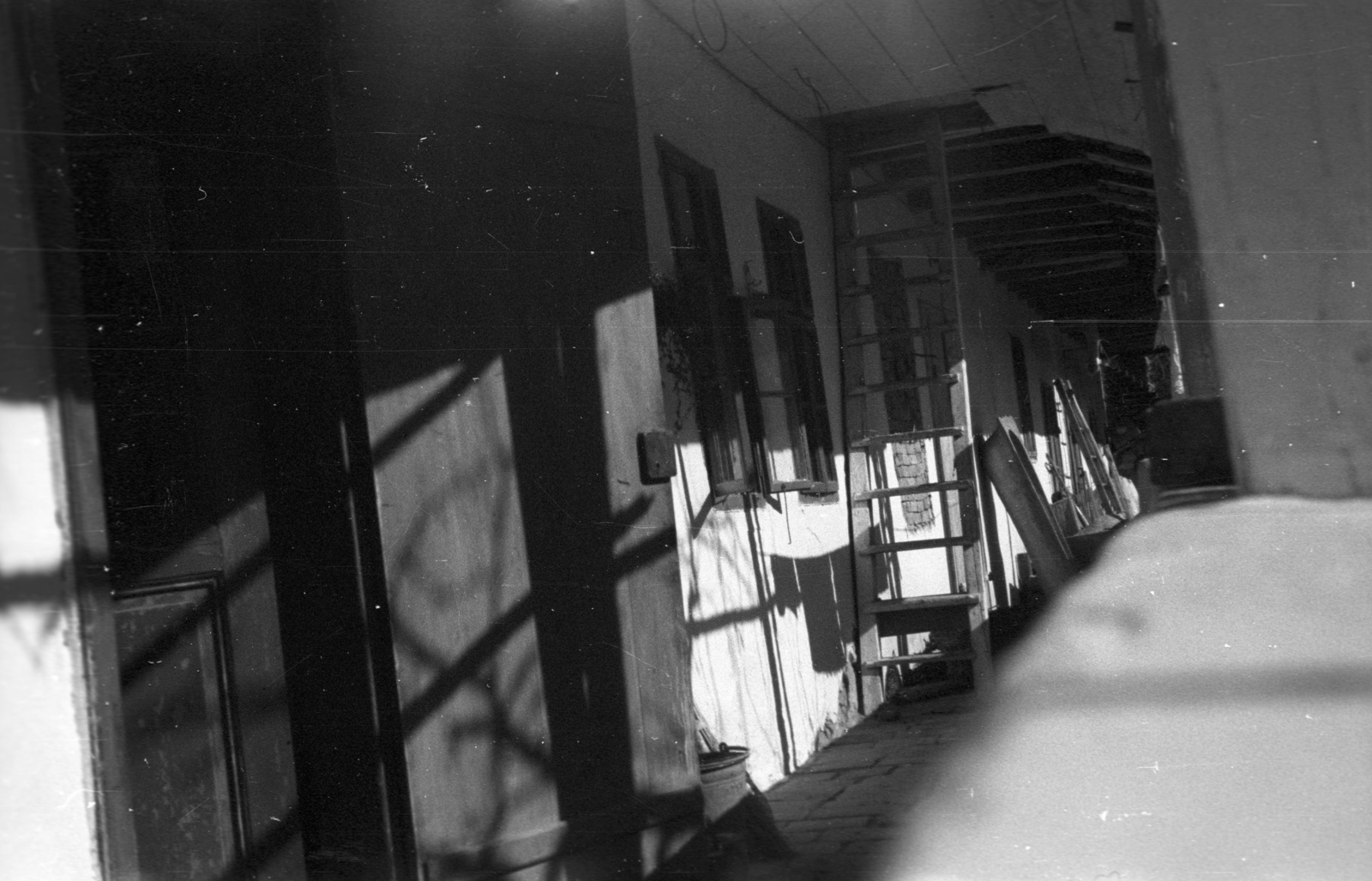 1947, Berkó Pál, ladder, Fortepan #79099