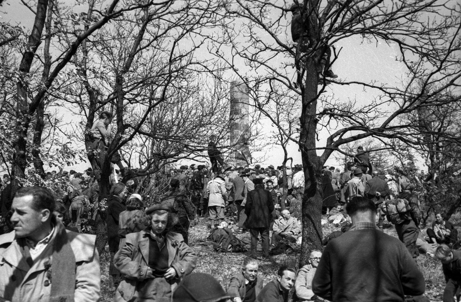 Magyarország, Visegrádi-hegység, Vörös-kő, április 4-i emléktúra, természetbarát találkozó., 1955, Berkó Pál, csoportosulás, turista, fán ülni, Fortepan #79143