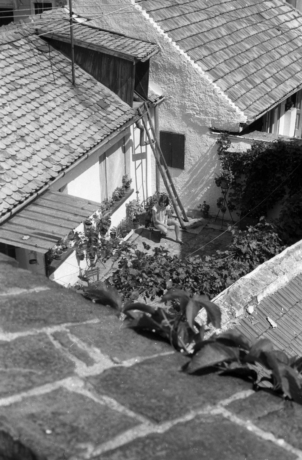 Magyarország, Szentendre, Alkotmány utcai ház udvara a Várdombról nézve., 1984, Berkó Pál, Fortepan #79150