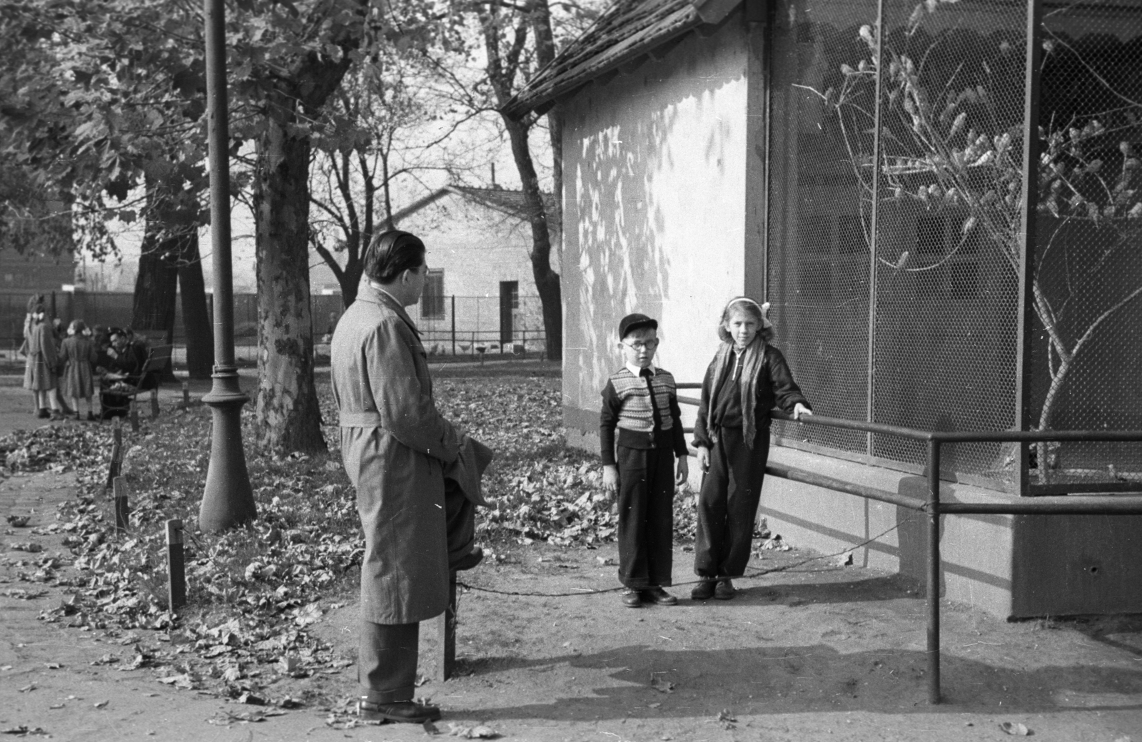 Hungary, Zoo, Budapest XIV., 1955, Berkó Pál, zoo, Budapest, kid, cardigan, girl, glasses, bird, Fortepan #79162