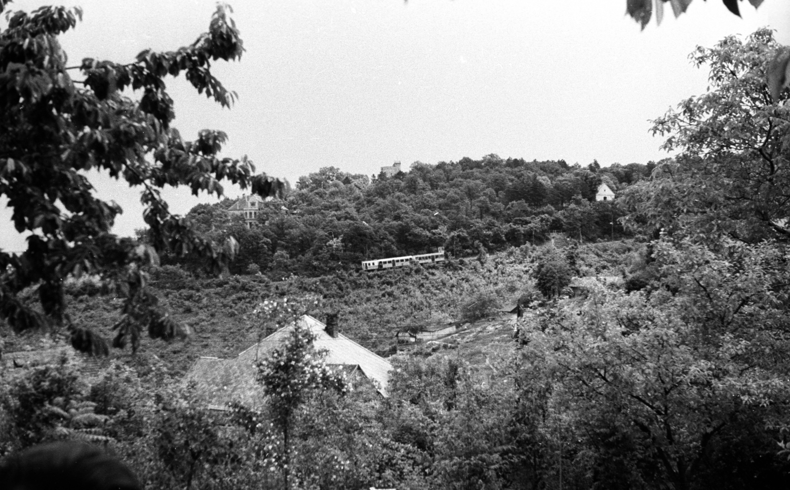 Hungary, Budapest XII., kilátás a Városkúti út környékéről a Fogaskerekű és az Istenhegyi út felé., 1947, Berkó Pál, funicular train, Budapest, Fortepan #79240