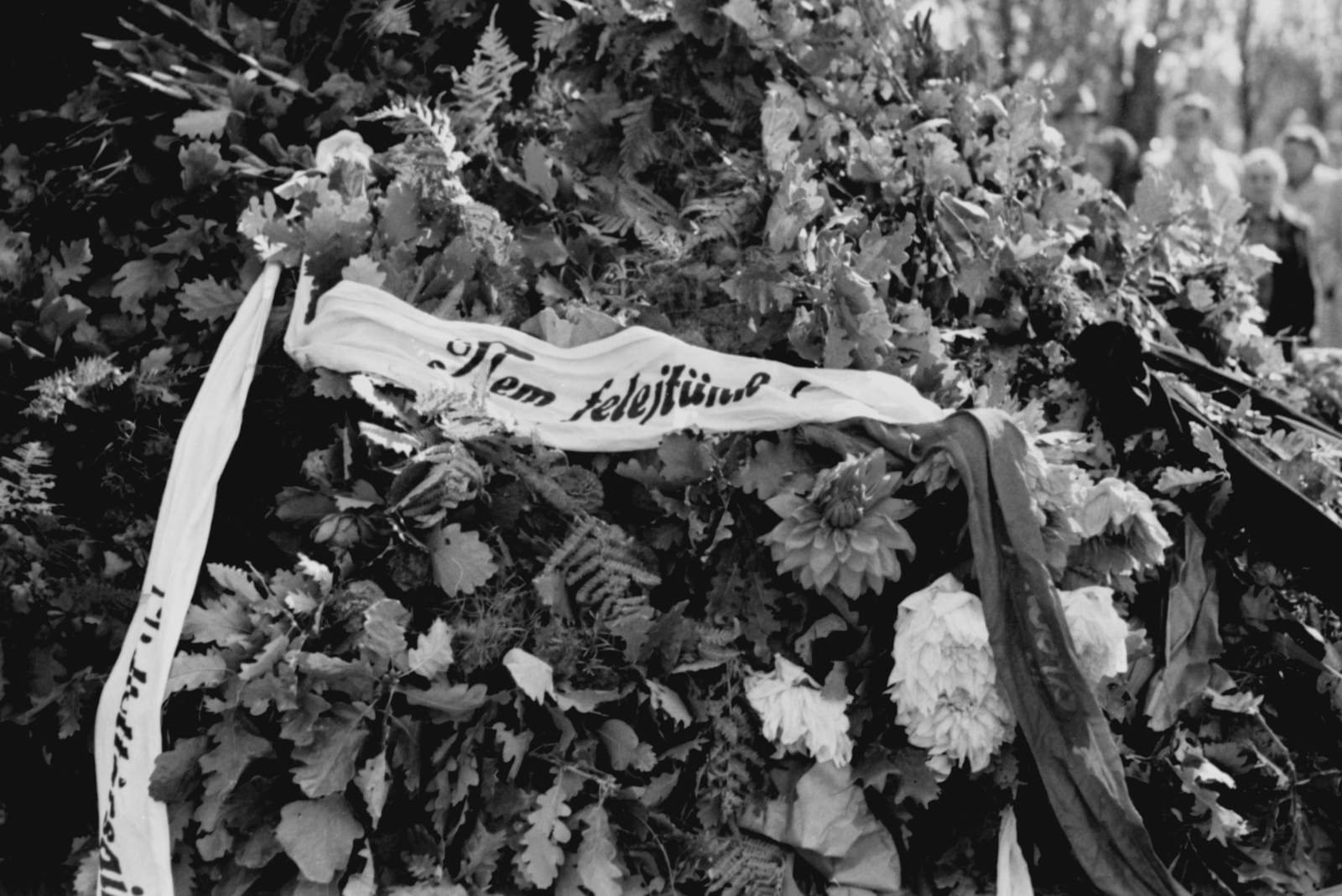 Hungary, Budapest VIII., Fiumei úti Nemzeti Sírkert (Kerepesi temető). A megemlékezés koszorúi Rajk László, Pálffy György, Szőnyi Tibor és Szalai András újratemetésekor, 1956. október 6-án., 1956, Berkó Pál, Budapest, label, flower, Fortepan #79392