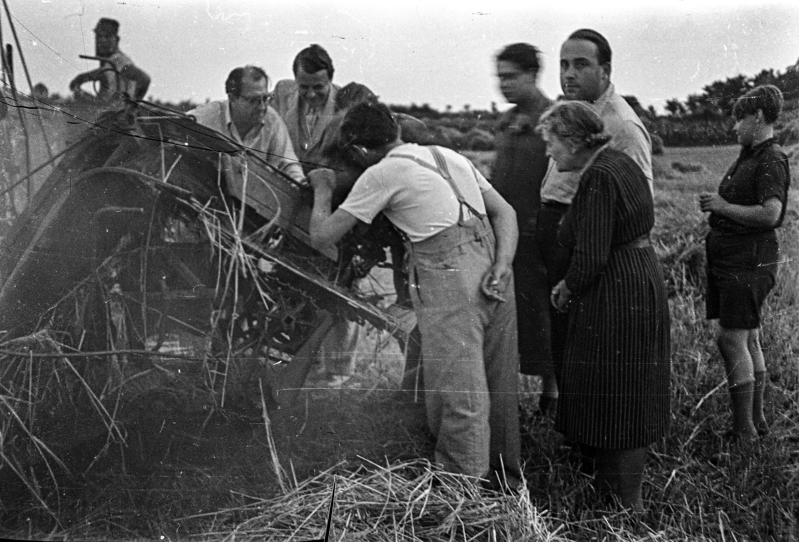 1946, Berkó Pál, mezőgazdaság, aratás, Fortepan #79473