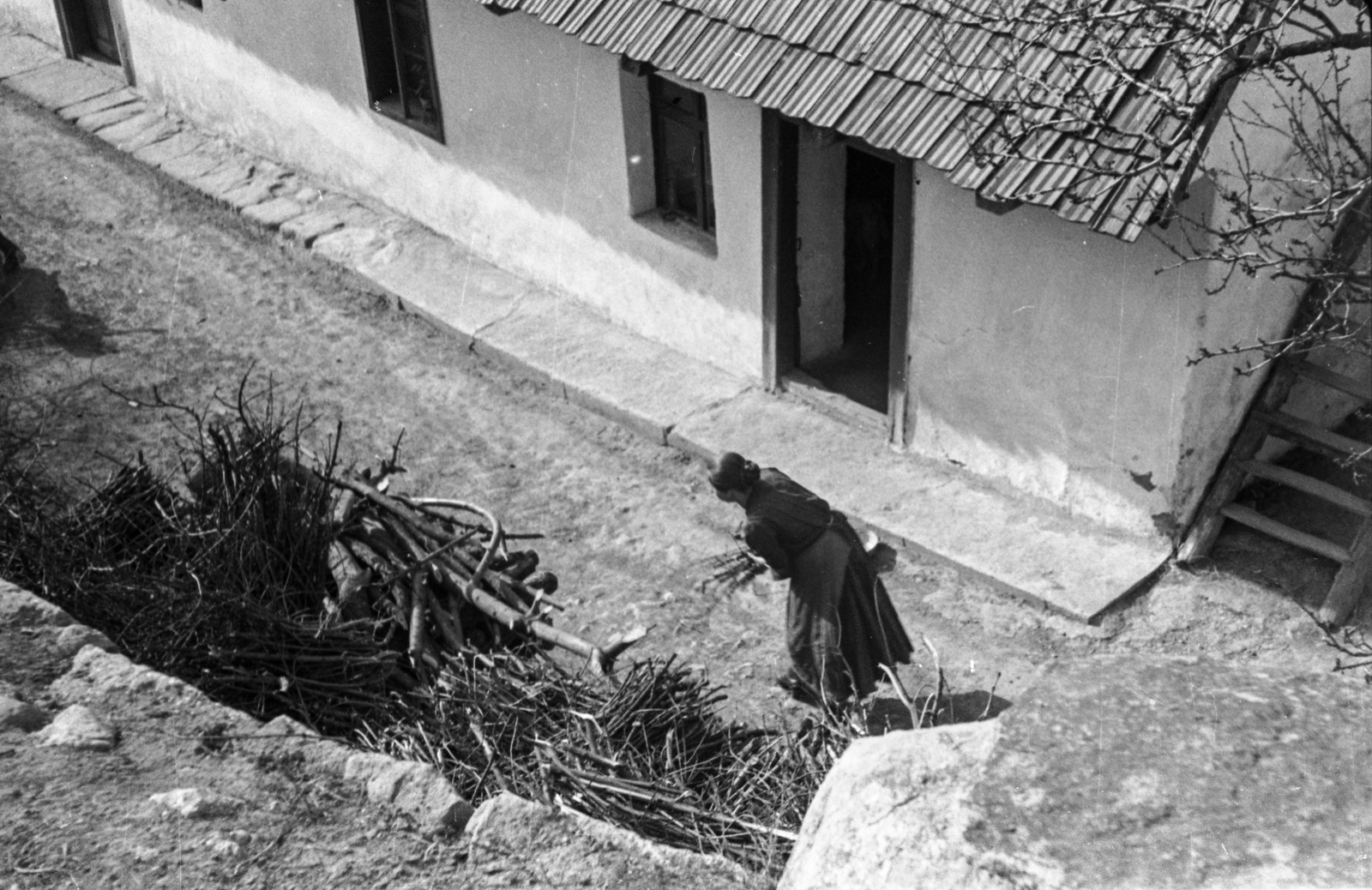 1946, Berkó Pál, firewood, bird's eye view, roof tiles, Fortepan #79476