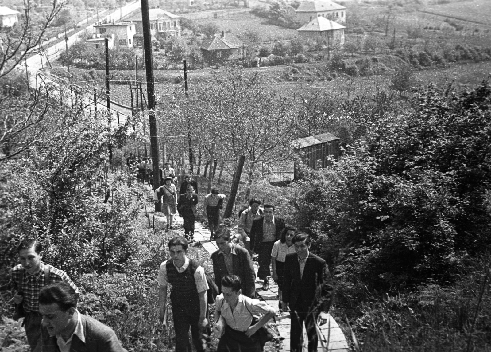 Magyarország, Budapest XII., Lidérc lépcső, háttérben a Törökbálinti út., 1944, Berkó Pál, Budapest, fiatalság, lépcső, hegyoldal, tájkép, Fortepan #79550