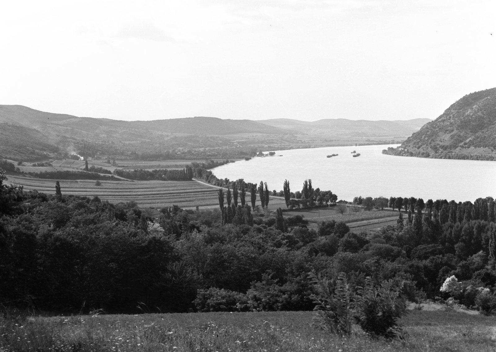 Hungary, Danube Bend, a dömösi kanyar Visegrád-Gizellatelep felől nézve., 1959, UVATERV, picture, Fortepan #79653