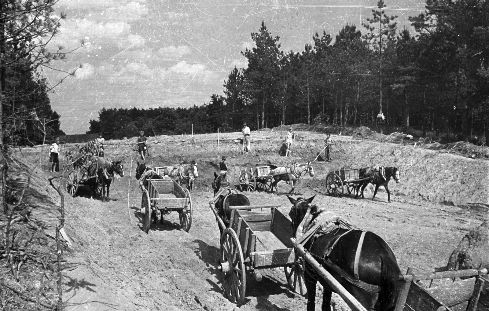 1950, UVATERV, kordé, ló, teherhordás, Fortepan #79893