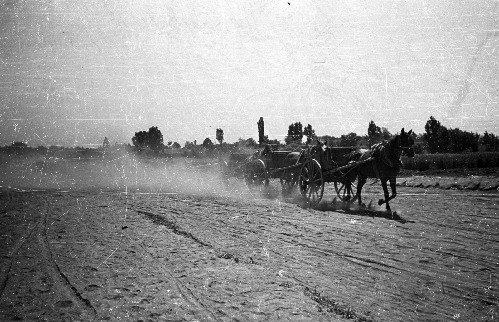 1950, UVATERV, horse, sand, cart, Fortepan #79896