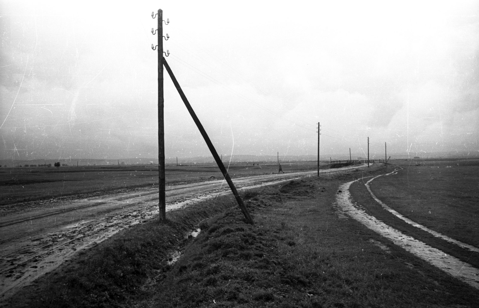 1950, UVATERV, látkép, villanypózna, Fortepan #79942