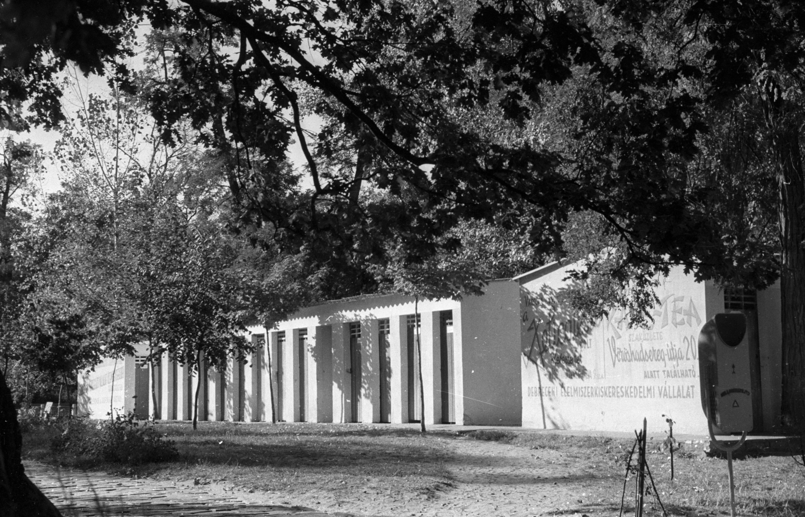 Hungary, Debrecen, Nagyerdői Gyógyfürdő., 1951, UVATERV, thermal bath, Fortepan #80150