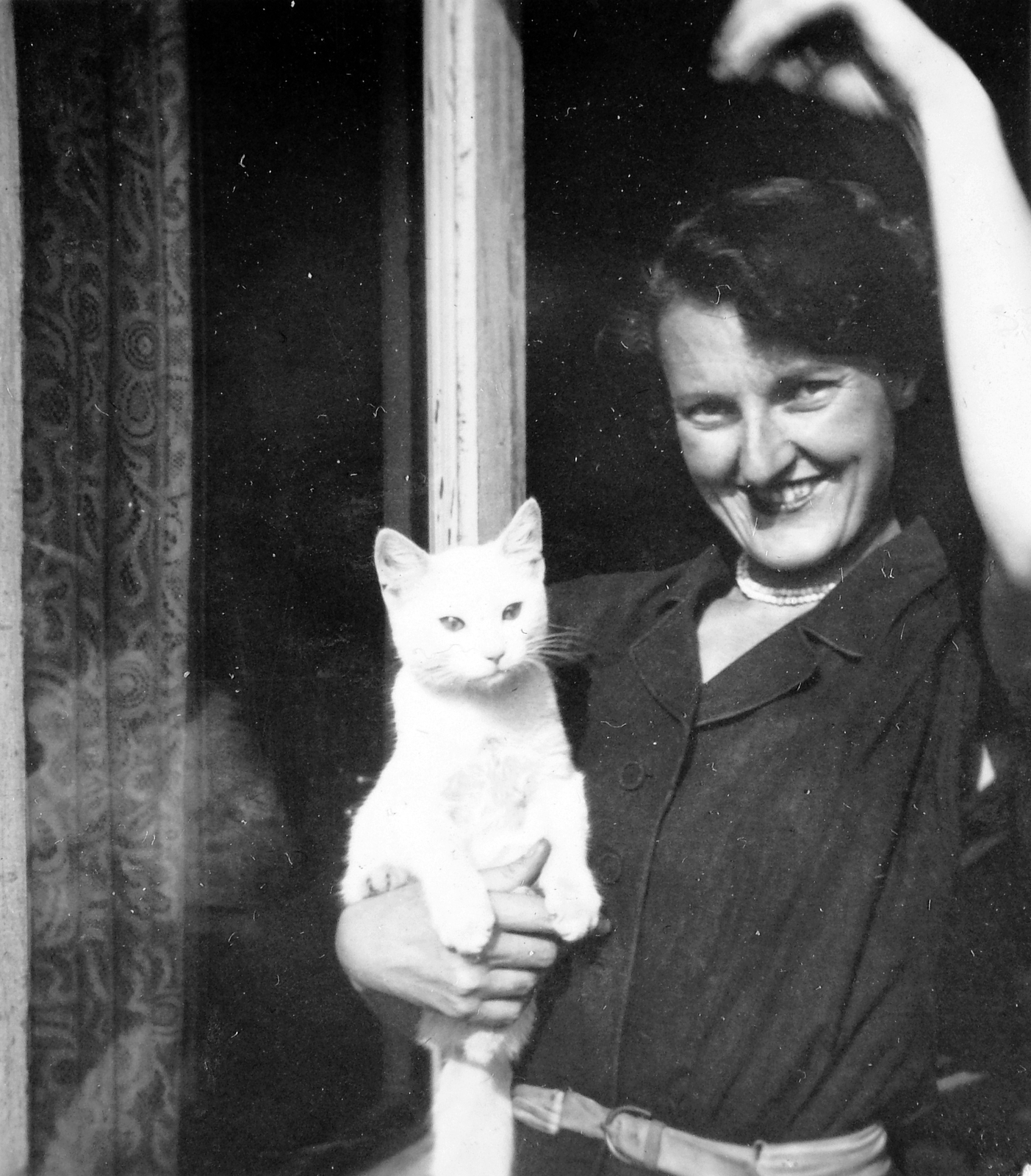 Hungary, Budapest XIII., Bulcsú utca 25/a, egy IV. emeleti lakás erkélye., 1951, Gyöngyi, portrait, cat, Budapest, smile, hold in arms, lady, window, Fortepan #8027