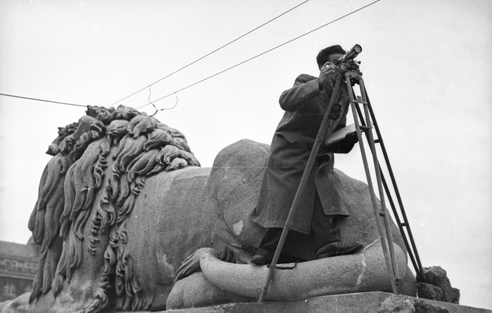 Hungary, Budapest V., pesti hídfő oroszlánja az újjáépített Széchenyi Lánchíd átadása előtt., 1949, UVATERV, theodolite, Budapest, lion, Fortepan #80341