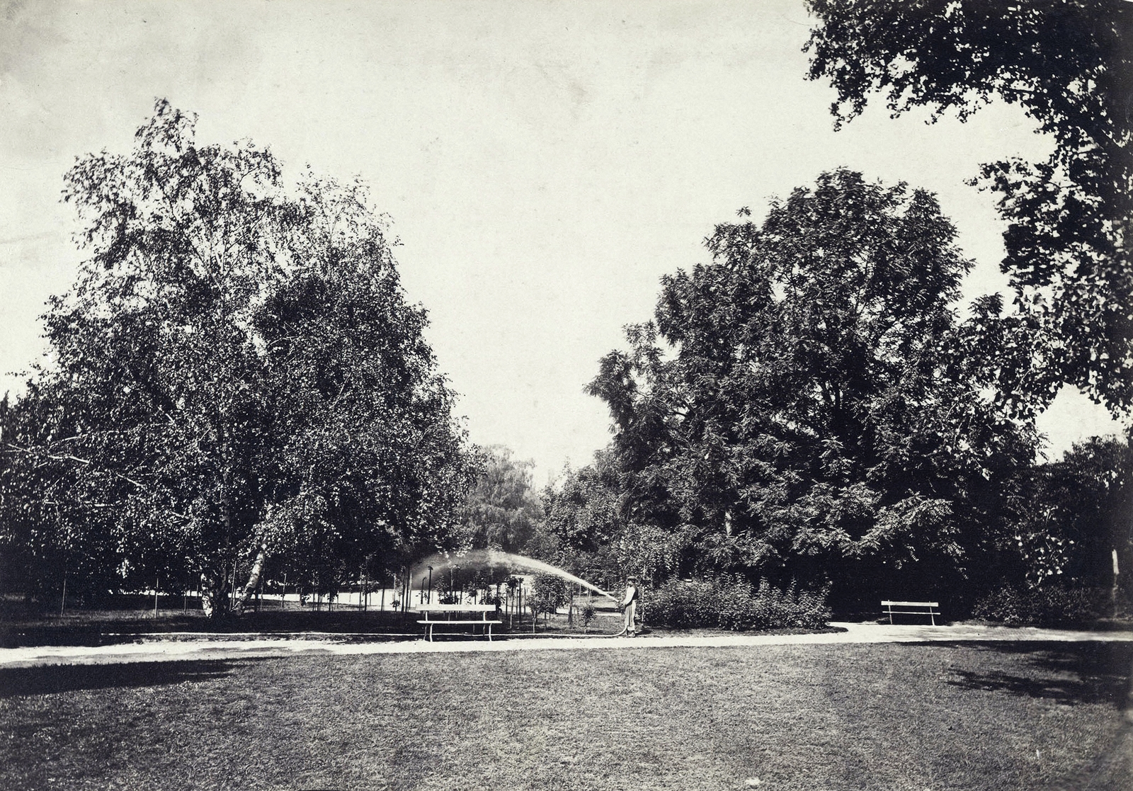 Hungary, Margit Islands, Budapest, A felvétel 1873 körül készült. A kép forrását kérjük így adja meg: Fortepan / Budapest Főváros Levéltára. Levéltári jelzet: HU.BFL.XV.19.d.1.05.097, 1900, Budapest Főváros Levéltára / Klösz György fényképei, Klösz György, hosing, Fortepan #82152