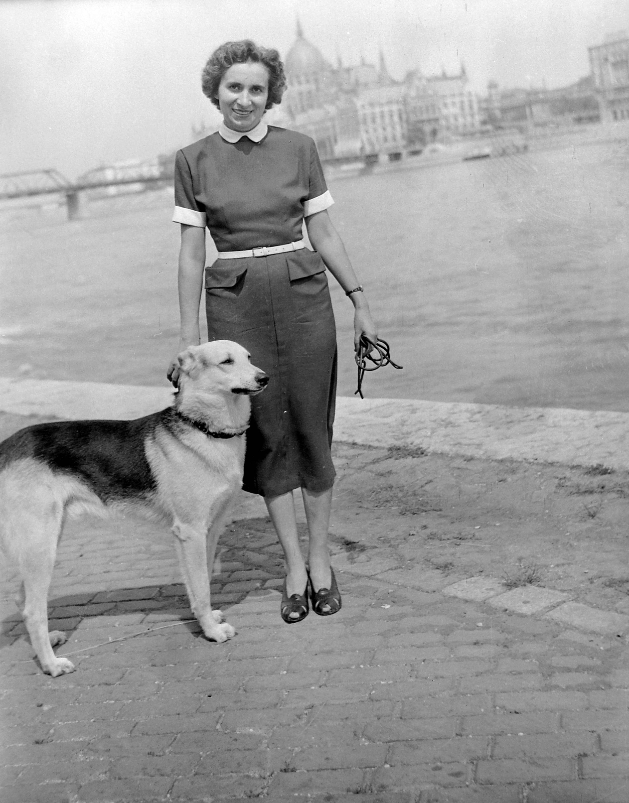 Hungary, Budapest I., budai alsó rakpart., 1953, Fortepan, fashion, dog, lady, parliament, sandal, German shepherd, Budapest, summer dresses, belt, walking the dog, Fortepan #8234