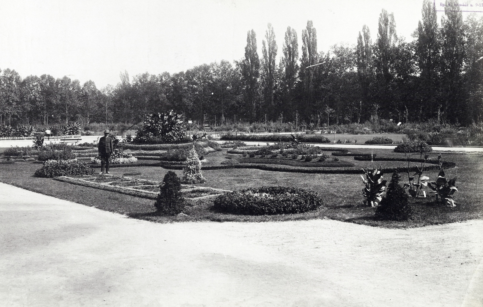 Hungary, Budapest XIV., "Városligeti körönd. A felvétel 1890 után készült." A kép forrását kérjük így adja meg: Fortepan / Budapest Főváros Levéltára. Levéltári jelzet: HU.BFL.XV.19.d.1.07.136, 1900, Budapest Főváros Levéltára / Klösz György fényképei, Klösz György, Budapest, wood, flower, Fortepan #82460