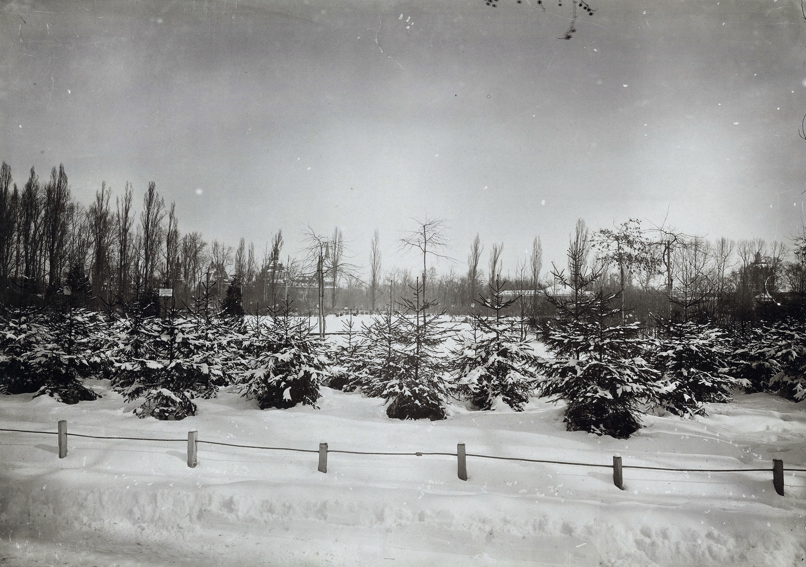 Hungary, Budapest XIV., háttérben balra a Vajdahunyad vára, jobbra az Iparcsarnok. A felvétel 1898 Húsvétkor készült. A kép forrását kérjük így adja meg: Fortepan / Budapest Főváros Levéltára. Levéltári jelzet: HU.BFL.XV.19.d.1.08.129, 1900, Budapest Főváros Levéltára / Klösz György fényképei, Klösz György, Budapest, snow, pine, Fortepan #82654