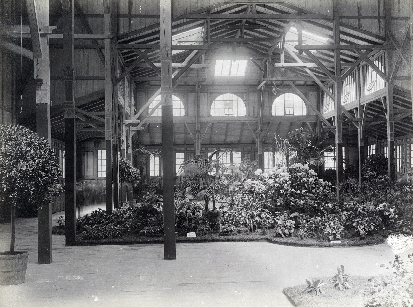 Hungary, Budapest XIV., "Millenniumi kiállítás: Virágkiállítás. A felvétel 1896-ban készült." A kép forrását kérjük így adja meg: Fortepan / Budapest Főváros Levéltára. Levéltári jelzet: HU.BFL.XV.19.d.1.09.159, 1900, Budapest Főváros Levéltára / Klösz György fényképei, Klösz György, Budapest, Millennium Exhibition, Fortepan #82811
