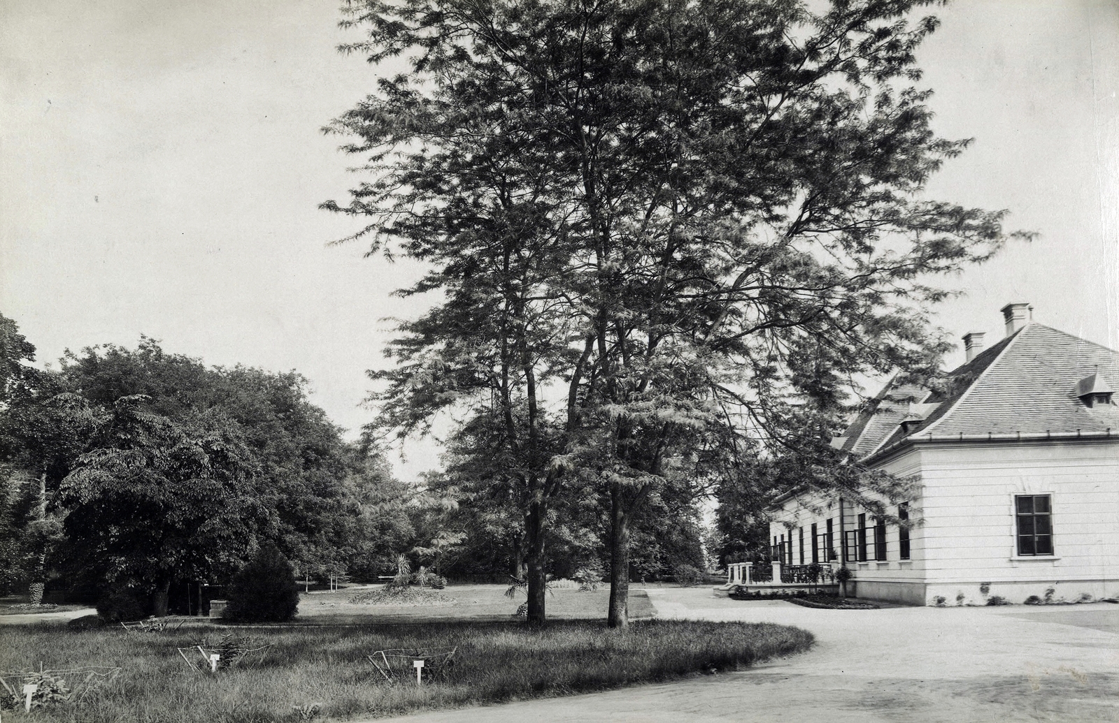 Magyarország, Sárosd, az Esterházy-kastély és parkja. A felvétel 1895-1899 között készült. A kép forrását kérjük így adja meg: Fortepan / Budapest Főváros Levéltára. Levéltári jelzet: HU.BFL.XV.19.d.1.11.045, 1900, Budapest Főváros Levéltára / Klösz György fényképei, Klösz György, kastély, park, Fortepan #83137