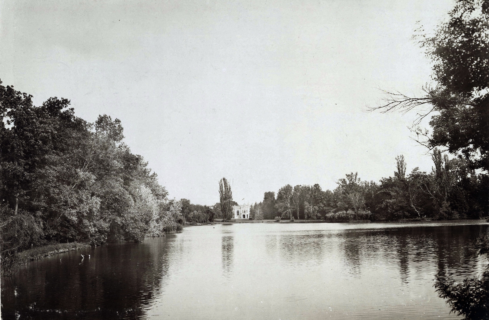 Hungary, Martonvásár, a Brunszvik- (ekkor Dréher-) kastély a park és tó felől nézve. A felvétel 1898 körül készült. A kép forrását kérjük így adja meg: Fortepan / Budapest Főváros Levéltára. Levéltári jelzet: HU.BFL.XV.19.d.1.11.092, 1900, Budapest Főváros Levéltára / Klösz György fényképei, Klösz György, lake, Fortepan #83184