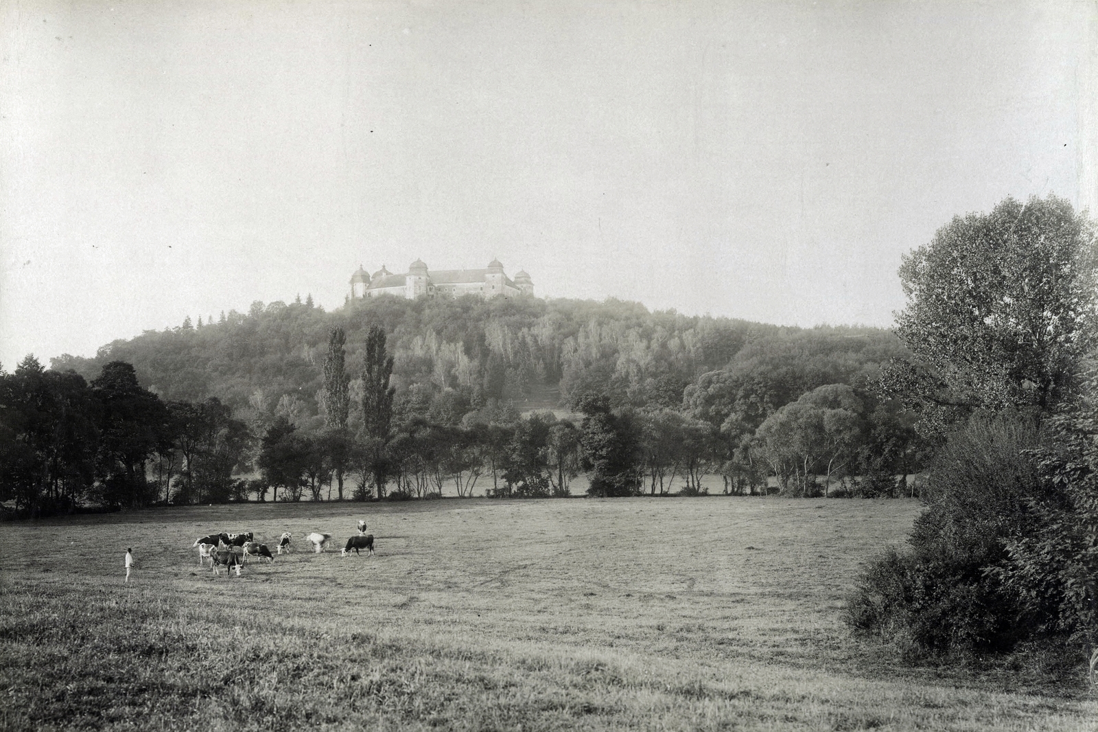Slovakia, Halič, fenn a várkastély (ekkor Wenckheim Ferenc tulajdona). A felvétel 1898 után készült. A kép forrását kérjük így adja meg: Fortepan / Budapest Főváros Levéltára. Levéltári jelzet: HU.BFL.XV.19.d.1.12.093, 1900, Budapest Főváros Levéltára / Klösz György fényképei, Klösz György, Baroque-style, palace, castle, Andreas Mayerhoffer-design, Fortepan #83398